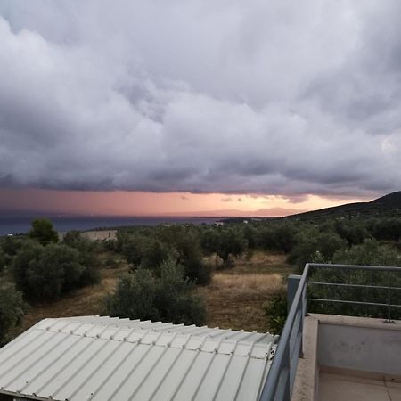 Panoramic View Summerhouse Loukissia Bagian luar foto