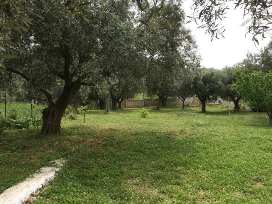 Panoramic View Summerhouse Loukissia Bagian luar foto