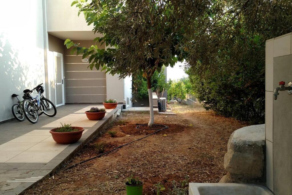 Panoramic View Summerhouse Loukissia Bagian luar foto
